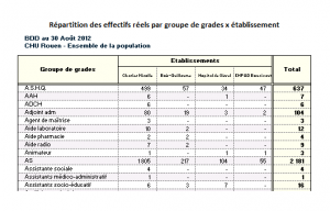 Aperçu d'un tableau de répartition des effectifs réels par groupe de grades x établissement
